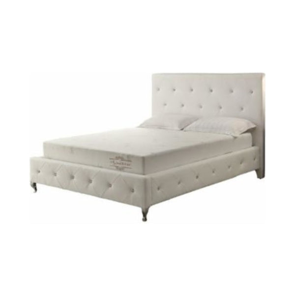 6' Queen Polyester Memory Foam Mattress Covered in a Soft Aloe Vera Fabric